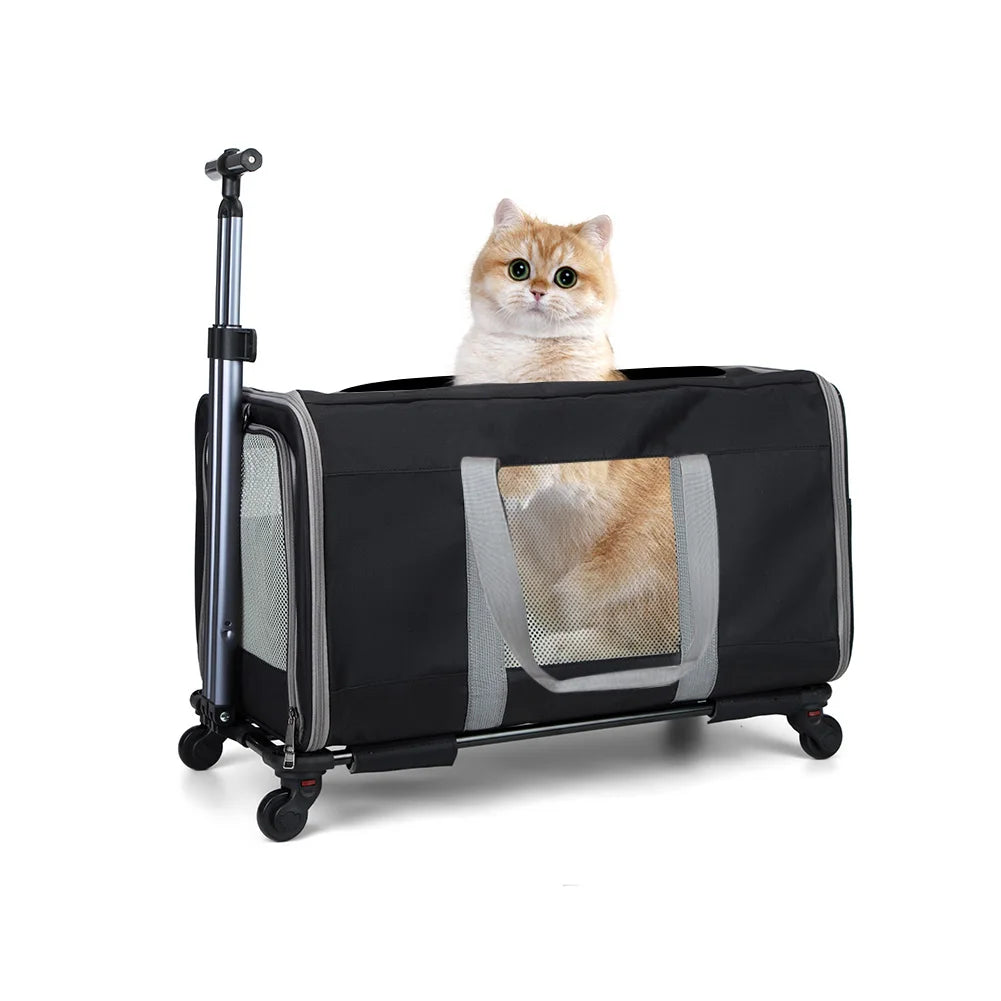 Katzen-Transporttasche mit Rollen – Große Tragetasche für 2 Katzen mit Trolley-System & Sicherheitsgurten