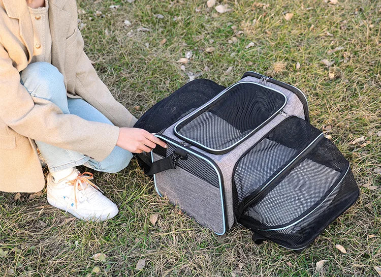 Faltbare Haustier-Tragetasche – Erweiterbare Transporttasche mit Netzfenstern für Katzen & kleine Hunde, atmungsaktiv & leicht