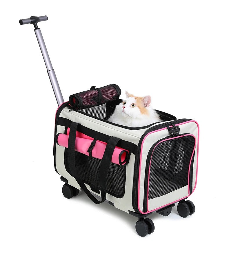 Tier-Trolley XL – faltbare Transporttasche für Hunde & Katzen