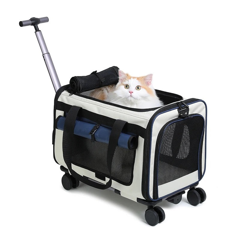 Tier-Trolley XL – faltbare Transporttasche für Hunde & Katzen